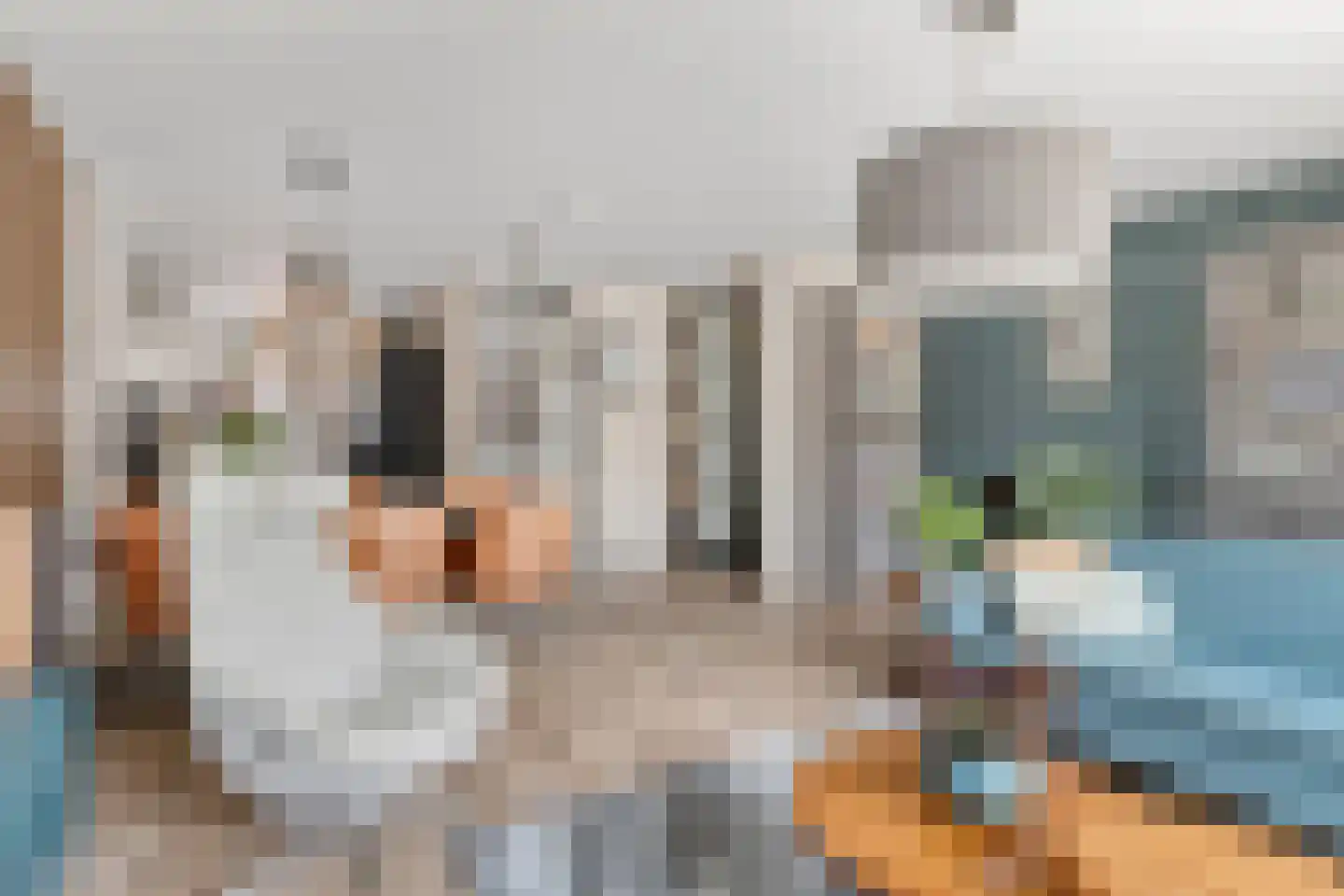 Wolfpad 34 Alkmaar thumbnail 4