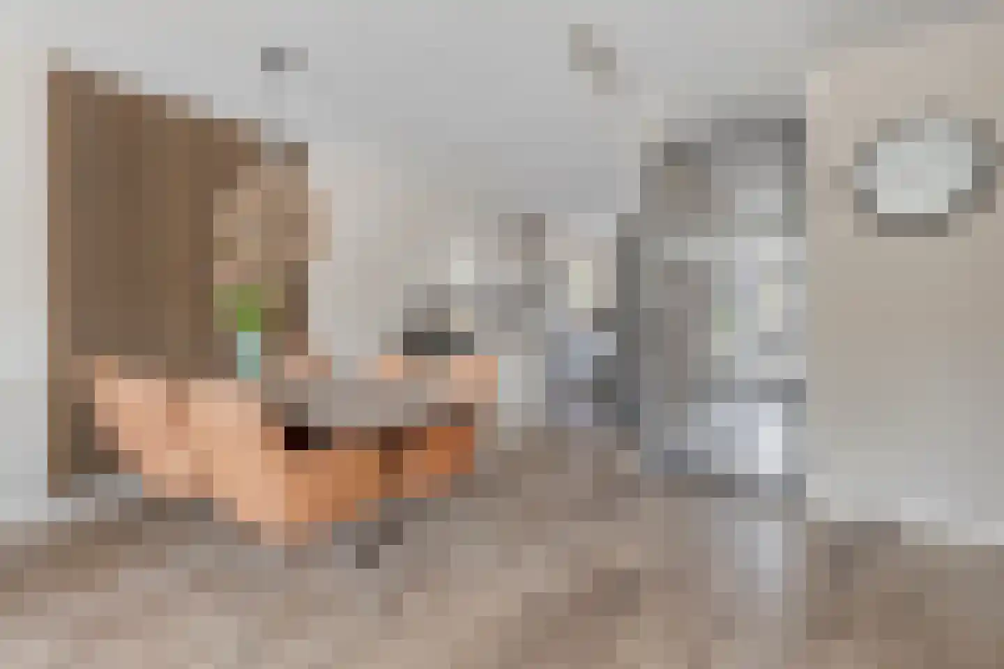 Wolfpad 34 Alkmaar thumbnail 6