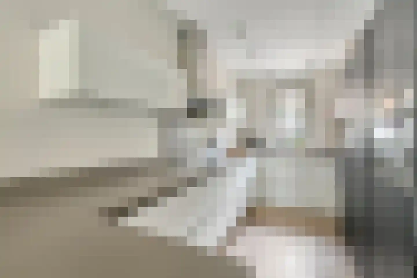 Wolfpad 34 Alkmaar thumbnail 7
