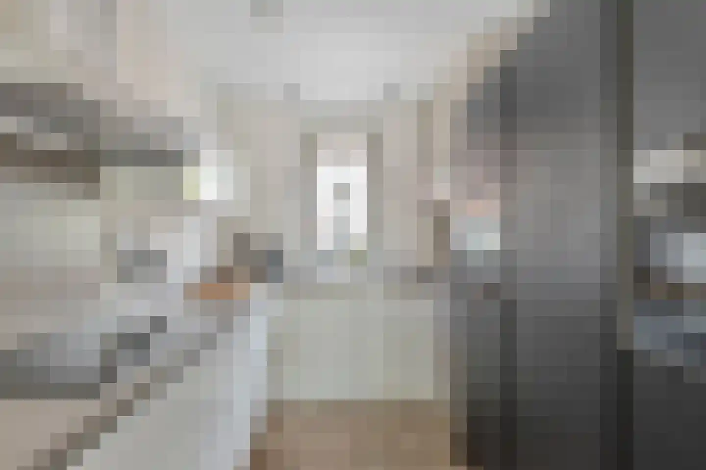 Wolfpad 34 Alkmaar thumbnail 8