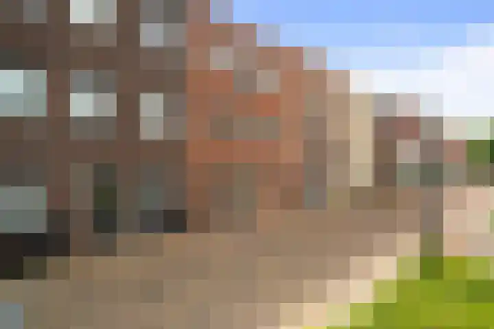 Wolfpad 38 in Alkmaar