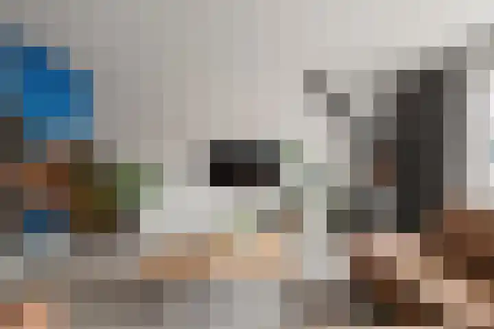 Wolfpad 38 Alkmaar thumbnail 11