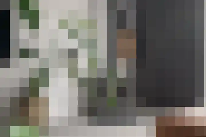 Wolfpad 38 Alkmaar thumbnail 12