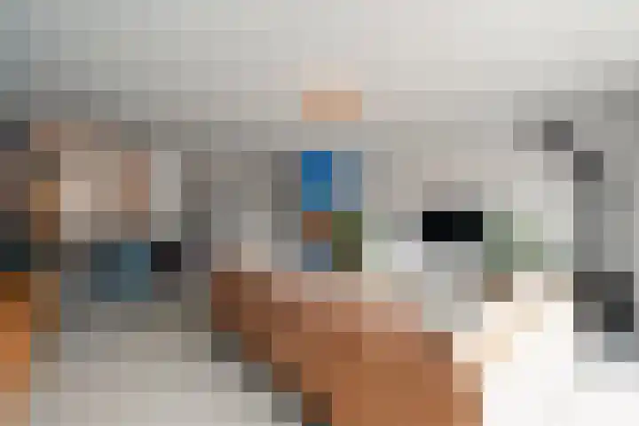 Wolfpad 38 Alkmaar thumbnail 13