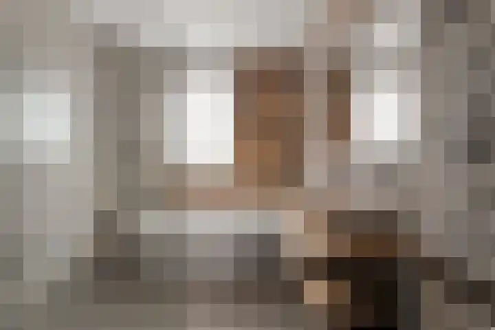 Wolfpad 38 Alkmaar thumbnail 20