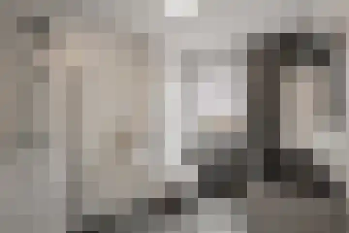 Wolfpad 38 Alkmaar thumbnail 28