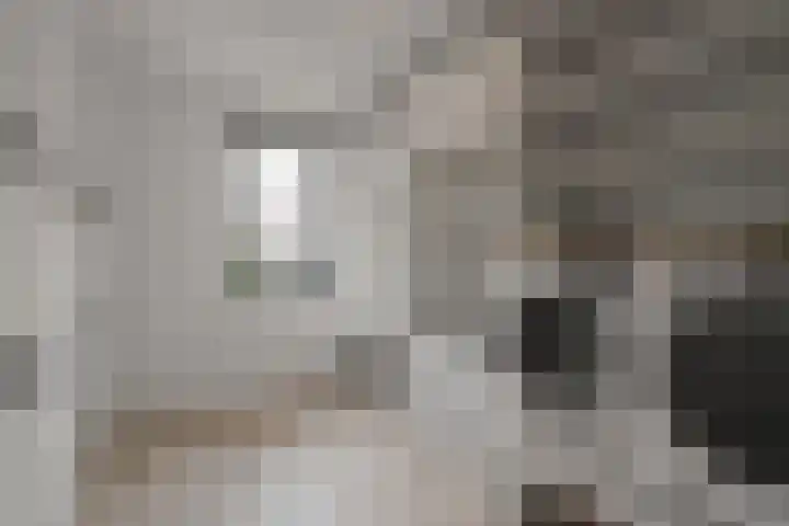 Wolfpad 38 Alkmaar thumbnail 32