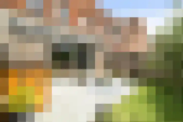 Wolfpad 38 Alkmaar thumbnail 35