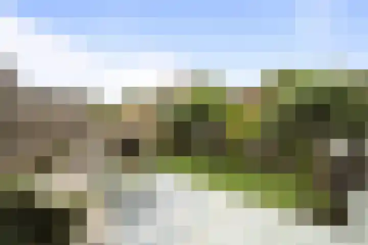 Wolfpad 38 Alkmaar thumbnail 36