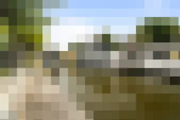 Wolfpad 38 Alkmaar thumbnail 37