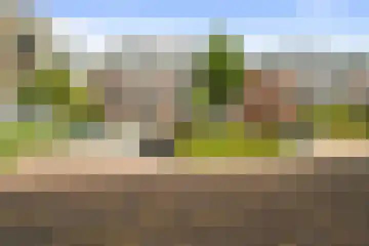 Wolfpad 38 Alkmaar thumbnail 38
