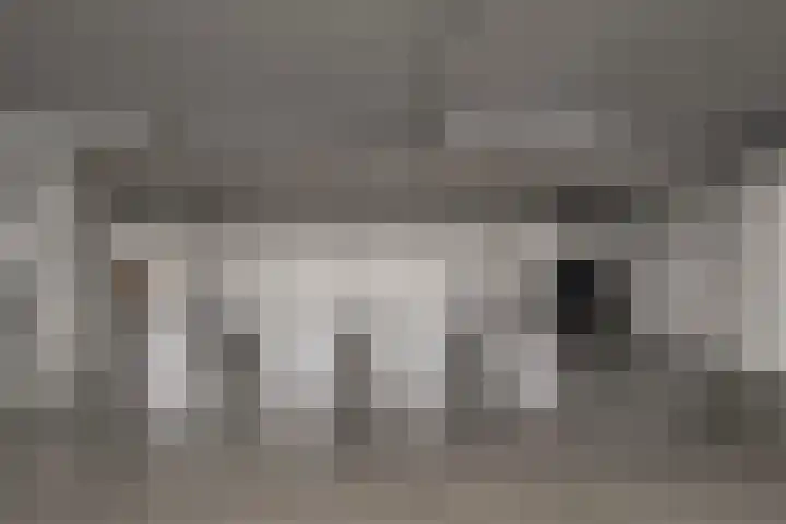 Wolfpad 38 Alkmaar thumbnail 39