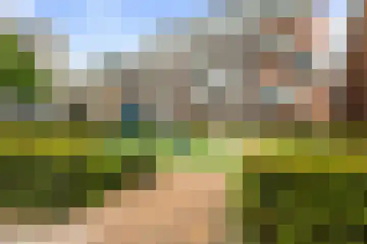 Wolfpad 38 Alkmaar thumbnail 40