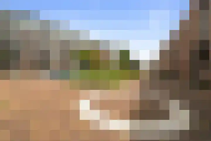 Wolfpad 38 Alkmaar thumbnail 41