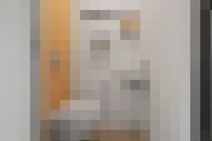 Wolfpad 38 Alkmaar thumbnail 7