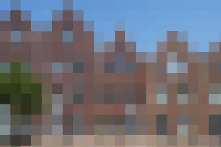 Wolfpad 9 in Alkmaar