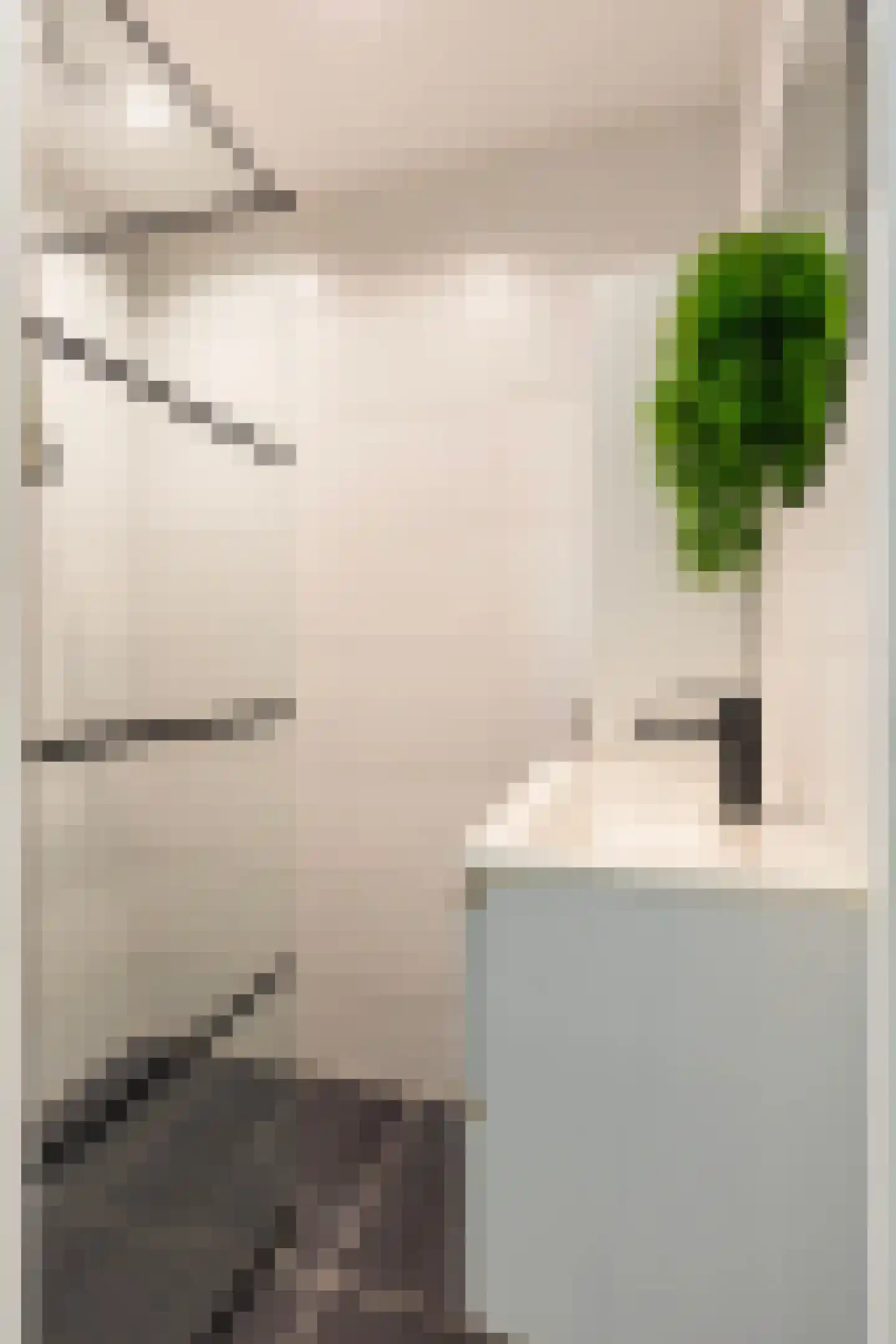 Wolframstraat 114 Apeldoorn thumbnail 13