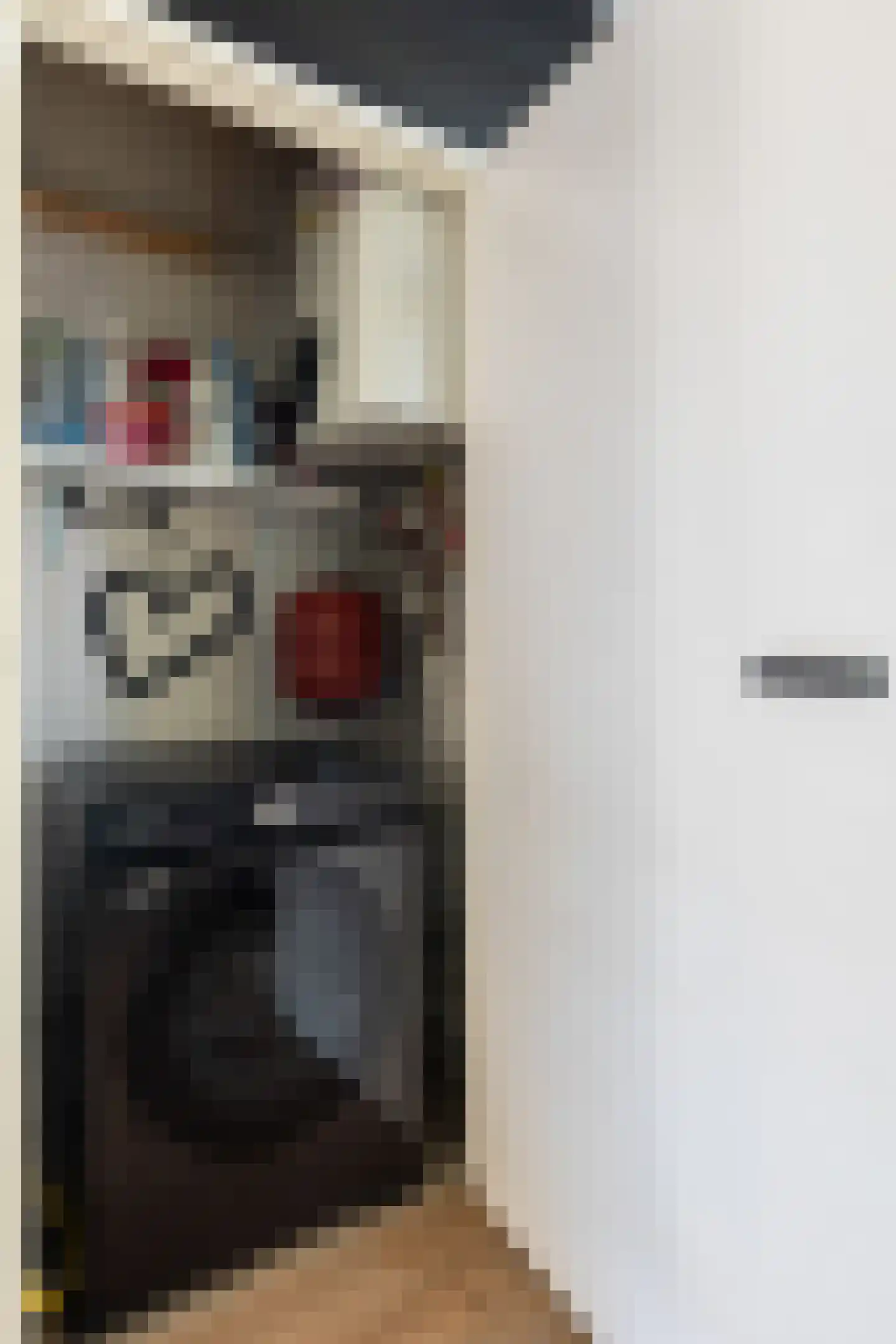 Wolframstraat 22 Apeldoorn thumbnail 13