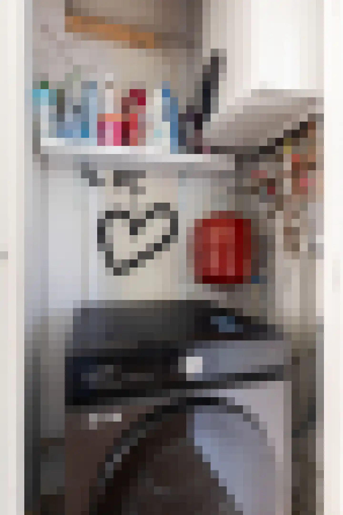 Wolframstraat 22 Apeldoorn thumbnail 14