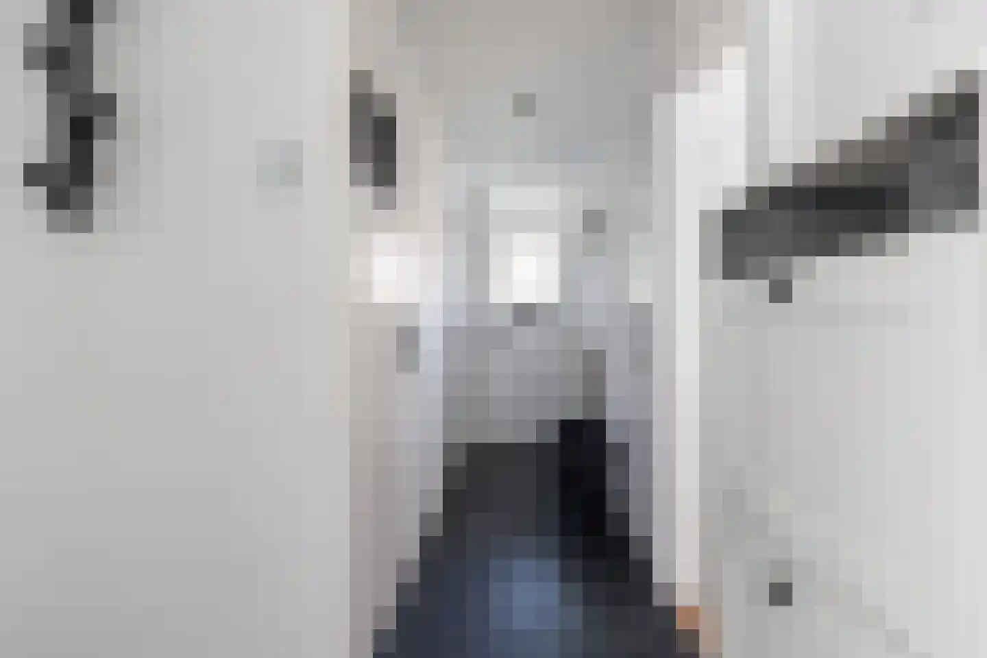 Wolframstraat 22 Apeldoorn thumbnail 15