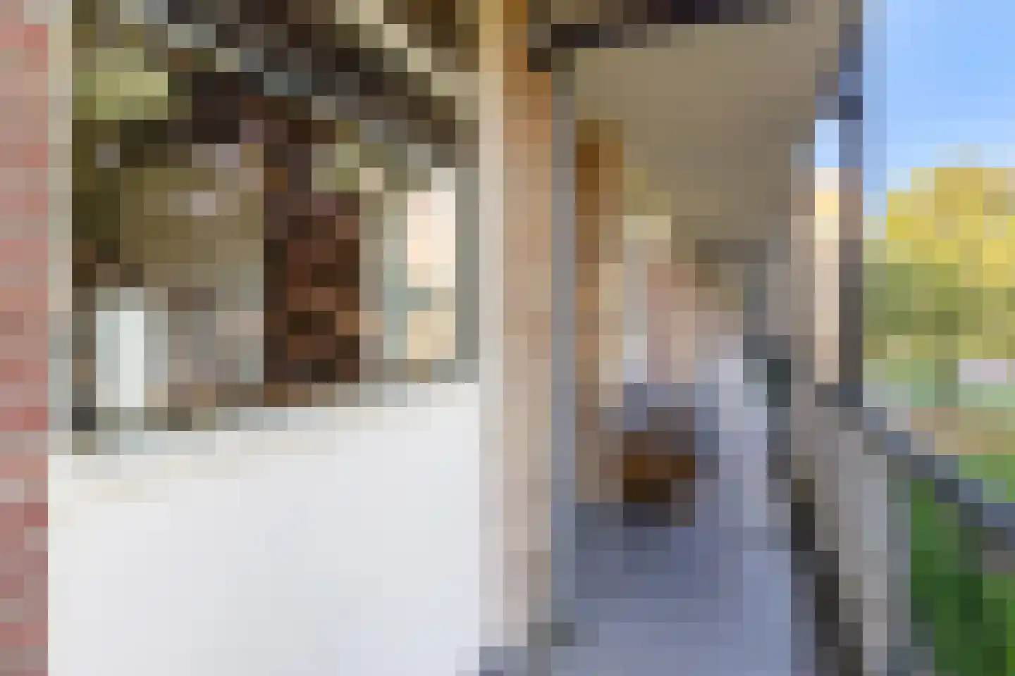 Wolframstraat 22 Apeldoorn thumbnail 31