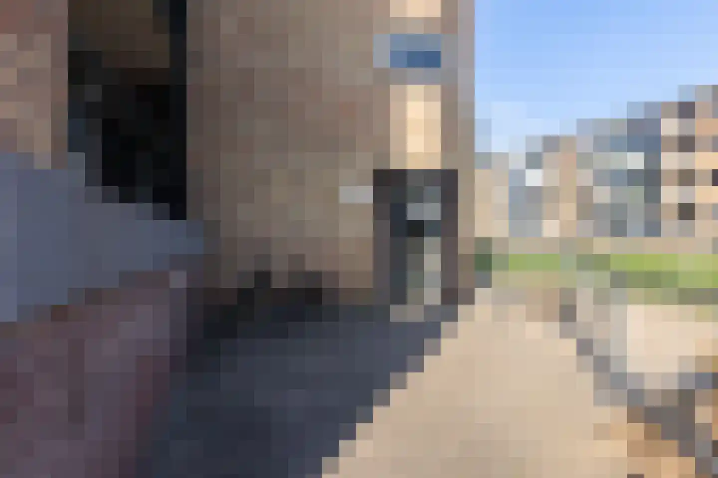 Wolframstraat 22 Apeldoorn thumbnail 34