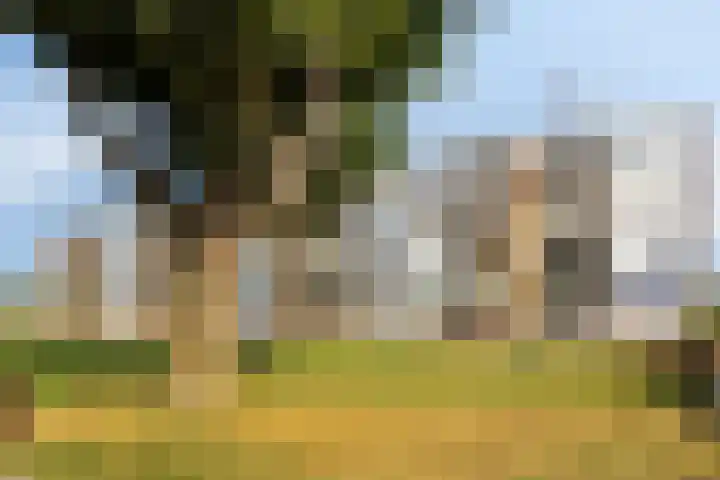 Wolframstraat 36 Apeldoorn thumbnail 4