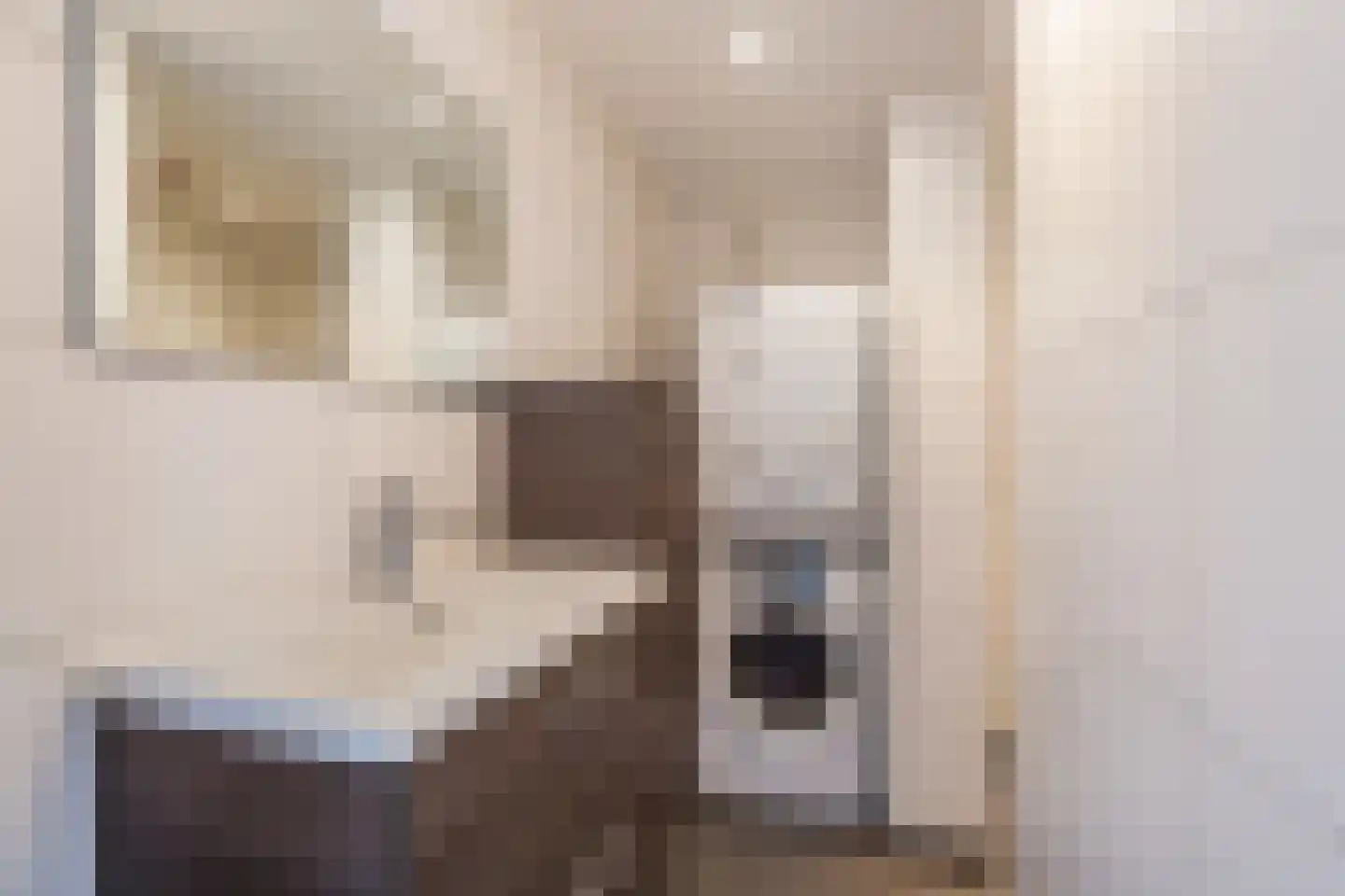 Wolframstraat 54 Apeldoorn thumbnail 11
