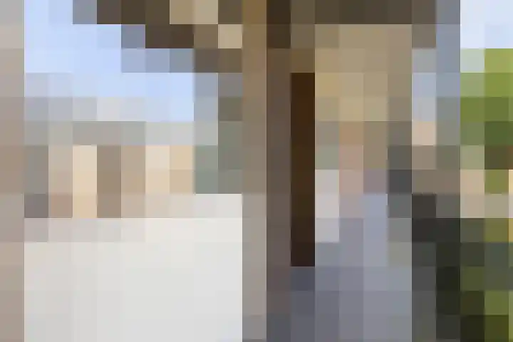 Wolframstraat 96 Apeldoorn thumbnail 21