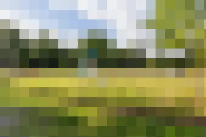 Wolframstraat 96 Apeldoorn thumbnail 26