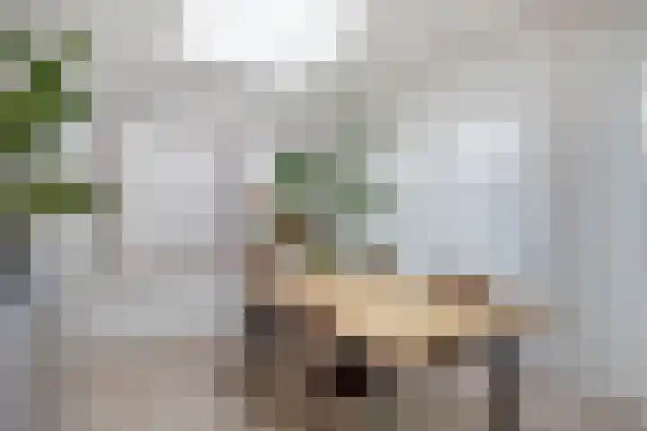 Wolfrathstraat 19 Sittard thumbnail 14