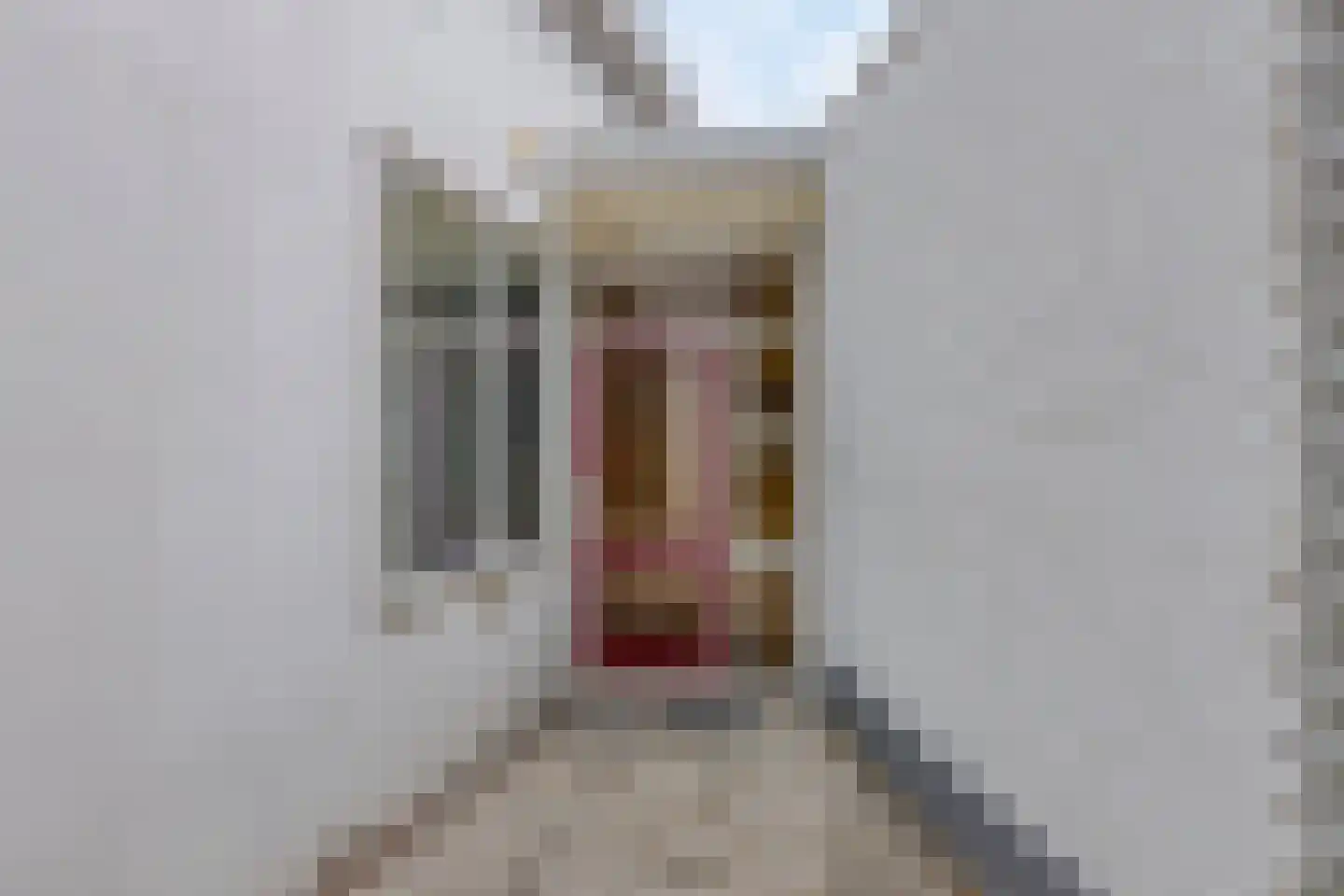 Wolfrathstraat 19 Sittard thumbnail 15