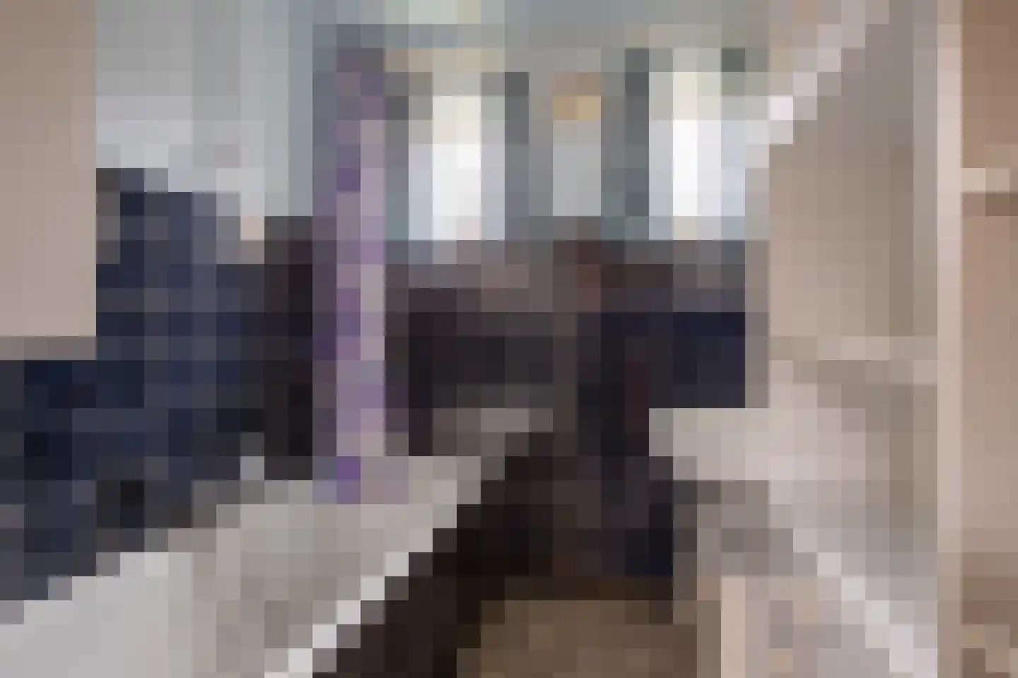 Wolfsberg 1 A Echt thumbnail 12