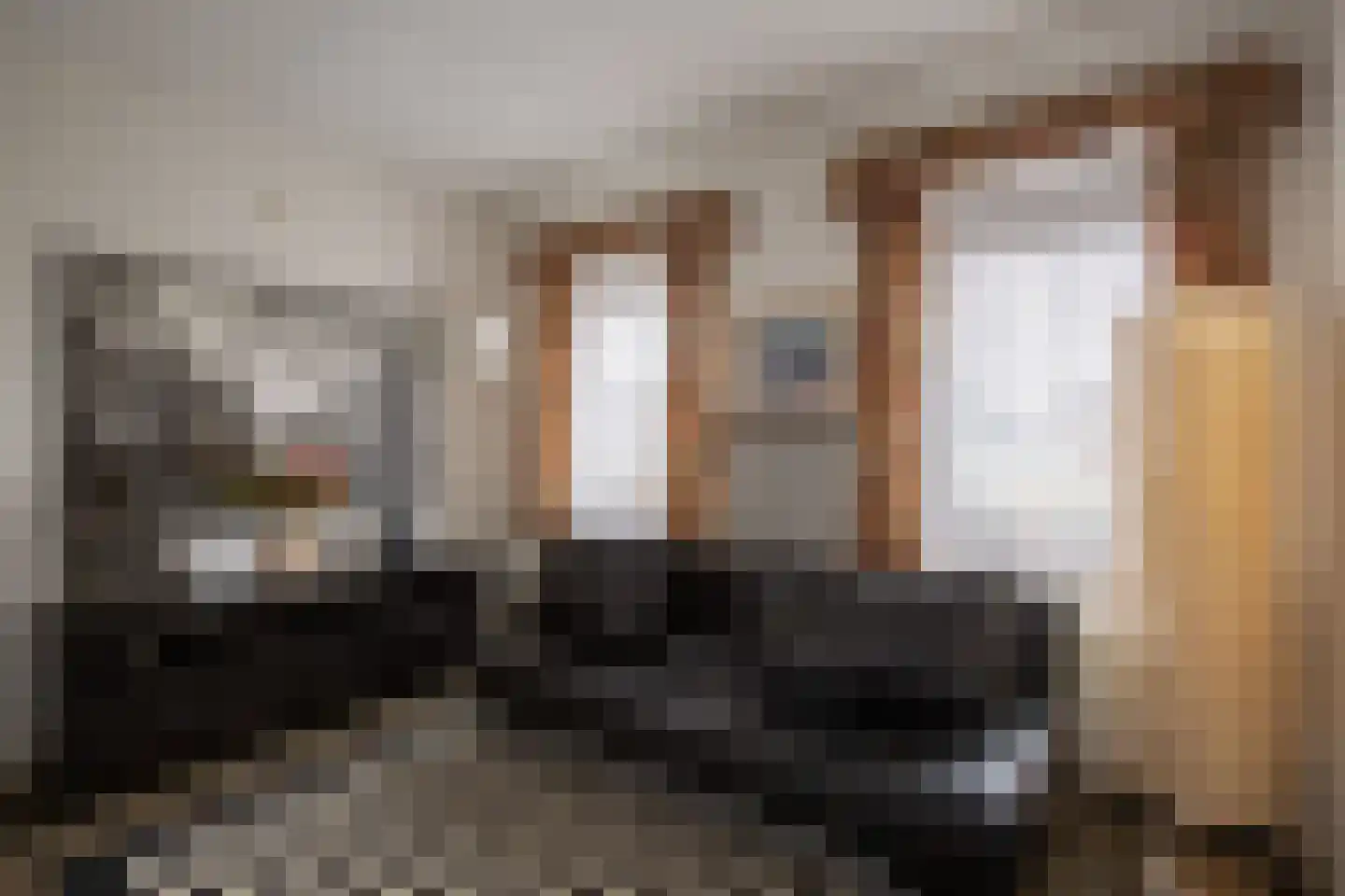 Wolfsberg 1 A Echt thumbnail 19