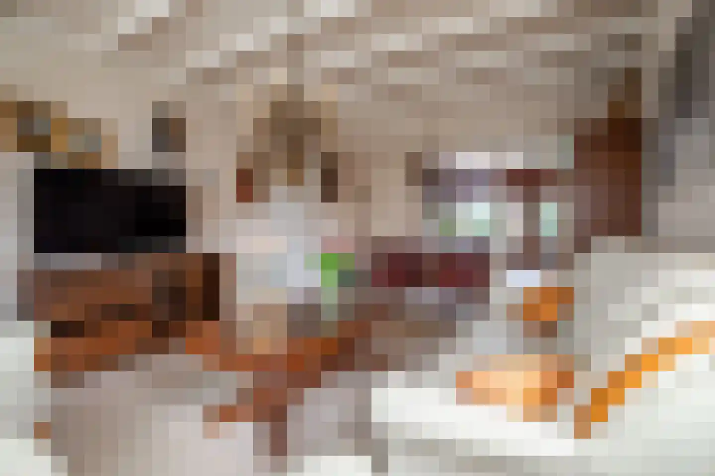 Wolfsberg 1 A Echt thumbnail 4