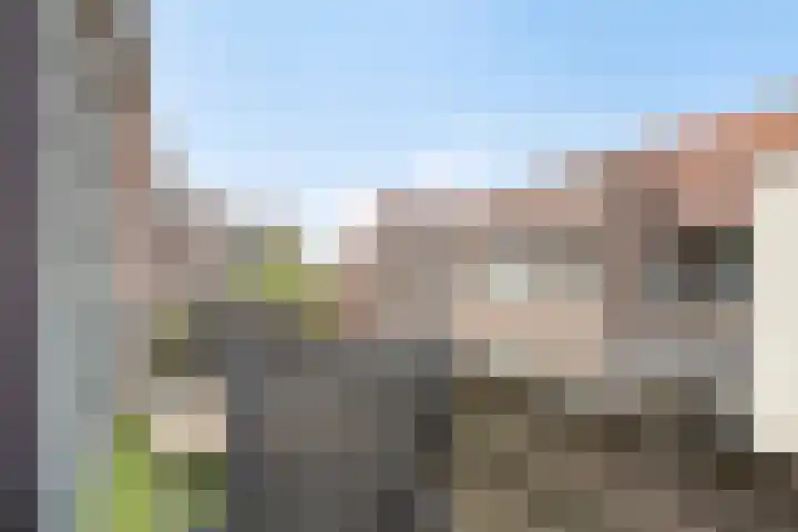 Wolfsberg 58 Deurne thumbnail 20