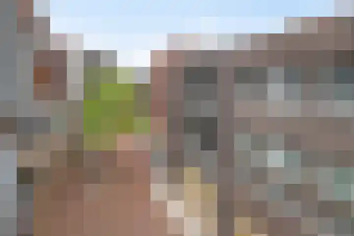 Wolfsberg 58 Deurne thumbnail 31