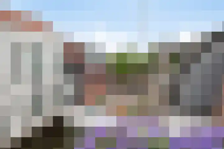 Wolfsberg 58 Deurne thumbnail 33