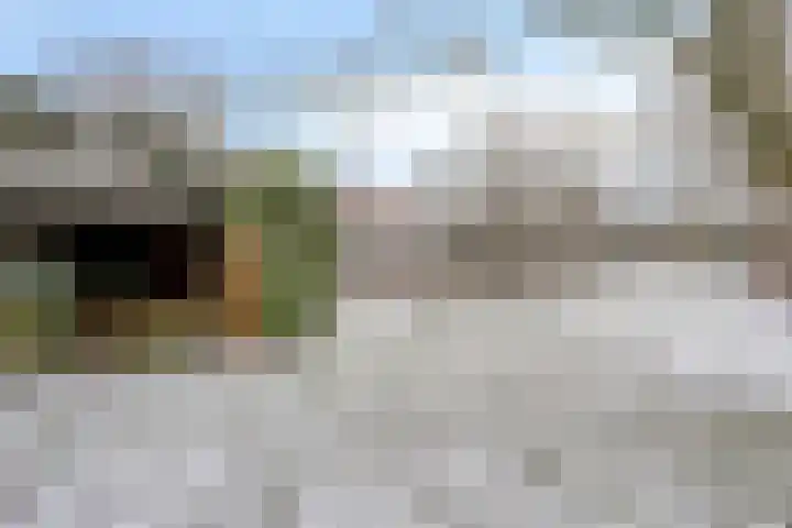 Wolfsberg 63 Asten thumbnail 10