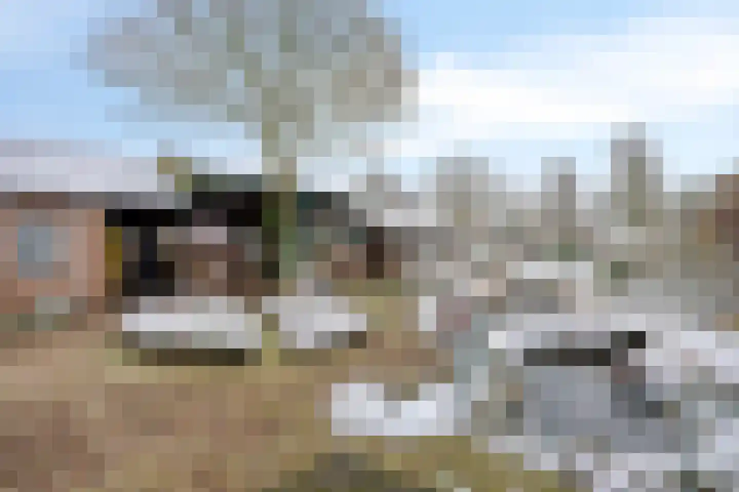 Wolfsberg 63 Asten thumbnail 11