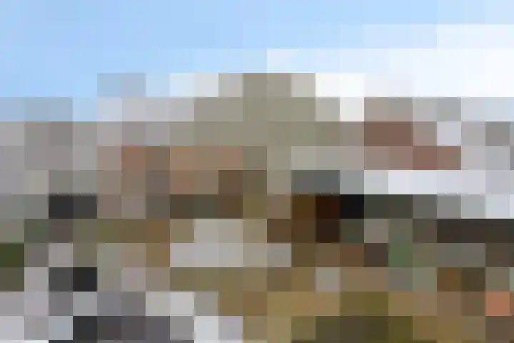 Wolfsberg 63 Asten thumbnail 13