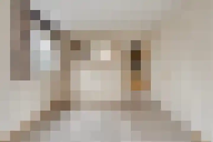 Wolfsberg 63 Asten thumbnail 17