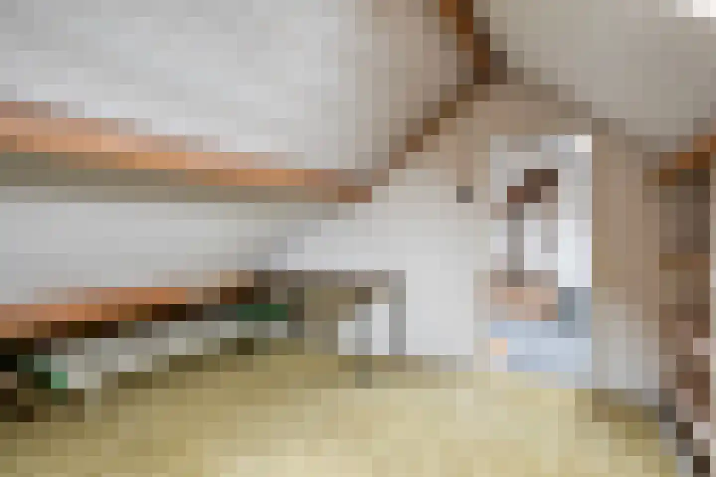 Wolfsberg 63 Asten thumbnail 38