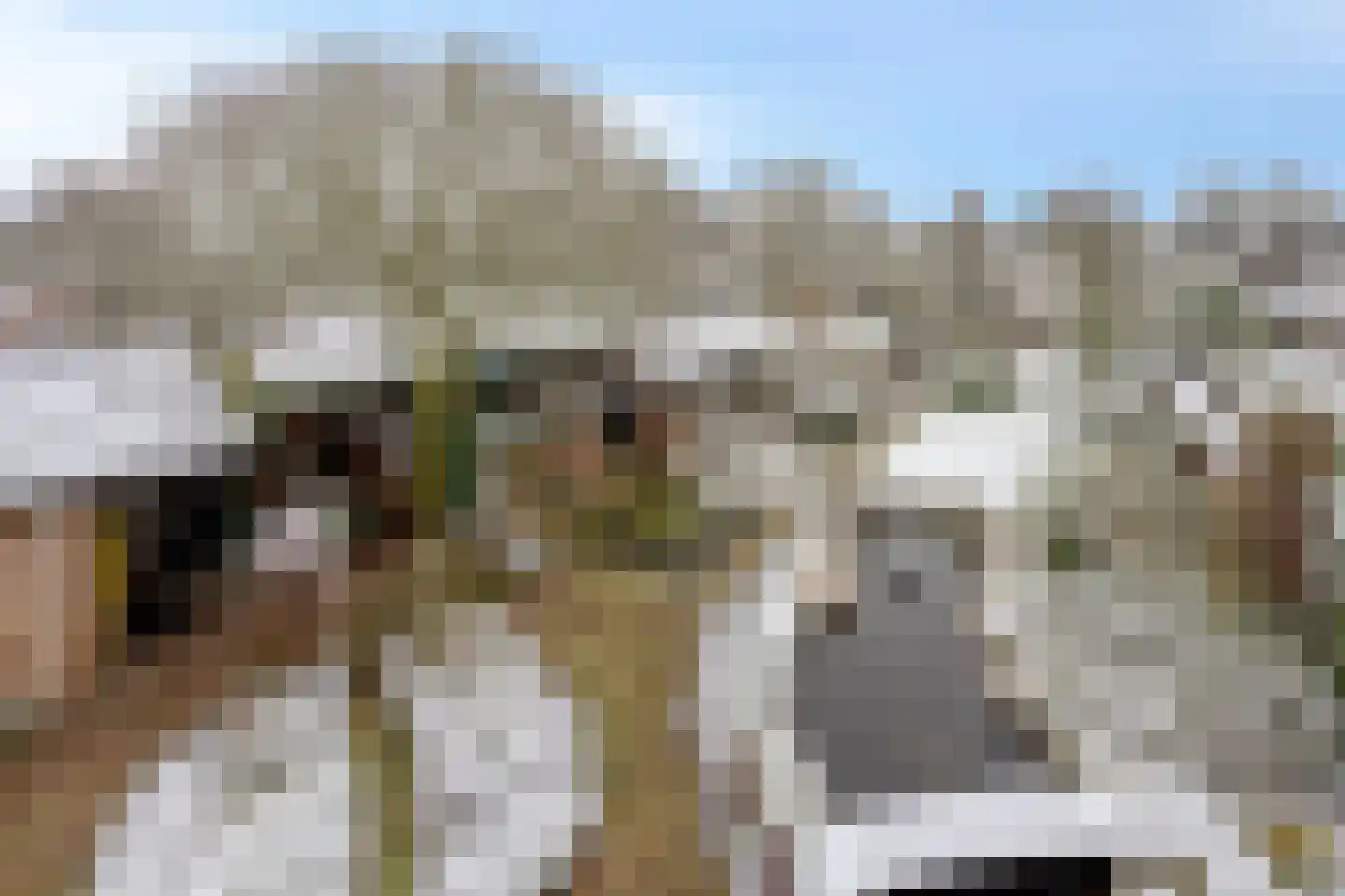 Wolfsberg 63 Asten thumbnail 4