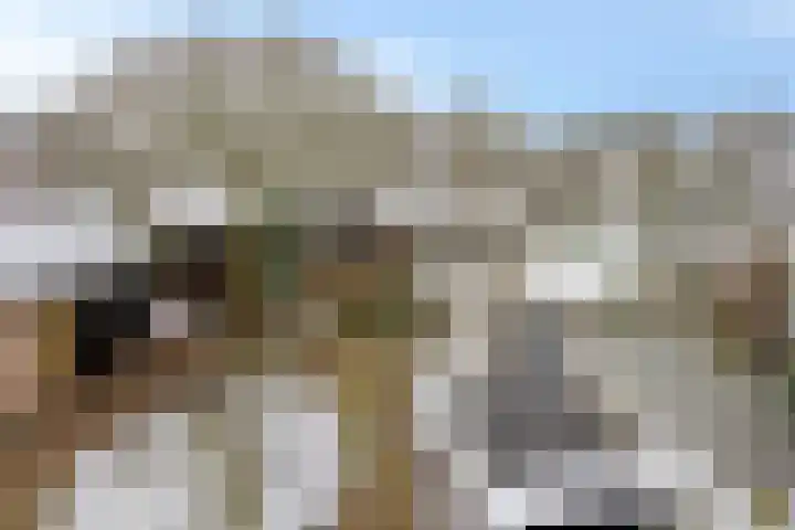 Wolfsberg 63 Asten thumbnail 4