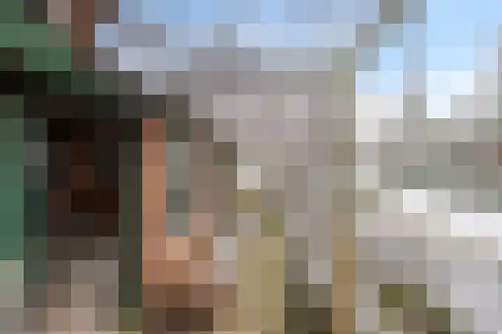Wolfsberg 63 Asten thumbnail 44