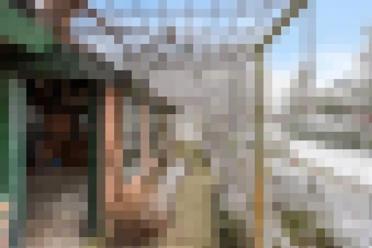 Wolfsberg 63 Asten thumbnail 44