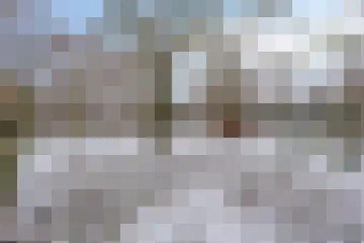 Wolfsberg 63 Asten thumbnail 6