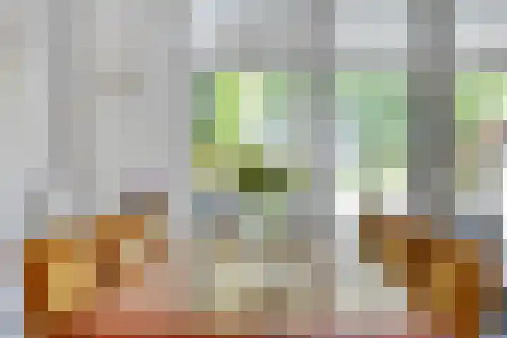 Wolfsberg 75 Asten thumbnail 16