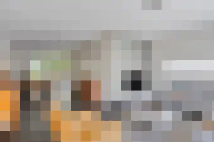 Wolfsberg 75 Asten foto 2